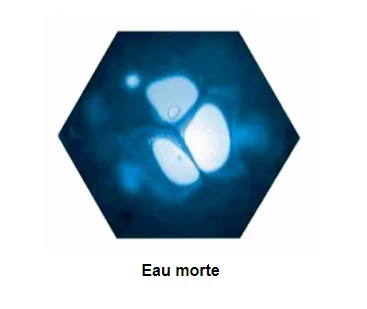 eau morte
